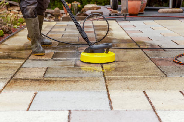 Best Roof Washing  in Kingsport, TN