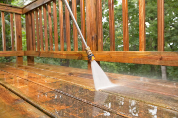 Solar Panel Cleaning in Kingsport, TN